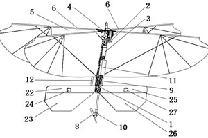 基于拍合效應(yīng)的大型高機(jī)動(dòng)可懸停撲翼飛行器