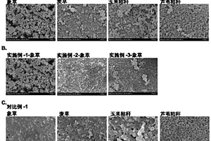 納米炭球的制備方法和應(yīng)用