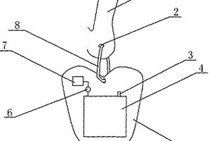 有機(jī)發(fā)光顯示器應(yīng)用在耳墜飾品上的顯示裝置