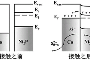 負(fù)載Ni2P-Co肖特基節(jié)活性位點(diǎn)海膽狀碳材料電催化劑、制備方法及其應(yīng)用