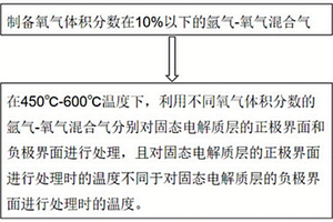 固態(tài)電解質層兩側表面差異化改性方法及裝置