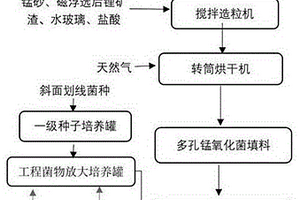 活性錳氧化菌生物填料及降解壓艙水中藻毒素的方法