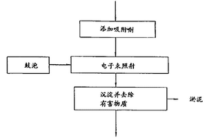 用電子束照射處理含有有害物質(zhì)的廢水的方法