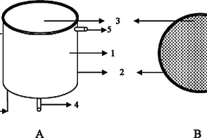 廢水厭氧氧化與負(fù)氧離子偶聯(lián)發(fā)生裝置及方法