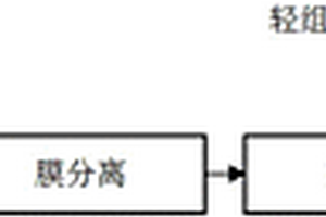 糖蜜酒精廢水的預(yù)處理方法