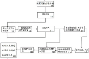 廢水生化調(diào)試的處理系統(tǒng)及處理方法