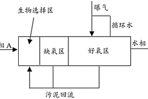 焦化廢水處理工藝