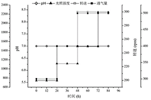 微藻光發(fā)酵法高效處理高氨氮廢水的方法