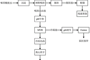 嗪草酮廢水達(dá)標(biāo)排放協(xié)同鹽資源化的處理工藝及其運(yùn)行方法