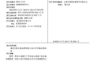 通過色譜分離選擇性除去廢水中的氟化物和氨