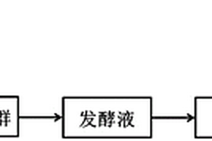 處理淀粉廢水同時生成可再生能源的方法