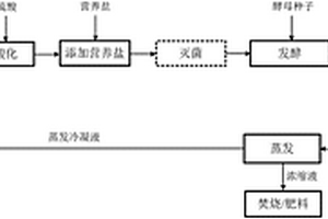 將糖蜜酒精廢水蒸發(fā)冷凝液回用于酒精發(fā)酵的工藝