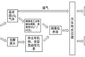 利用活性微藻耦合處理發(fā)酵排放廢氣與廢水的方法