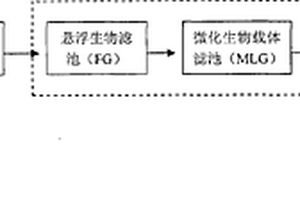 處理焦化廢水的工藝