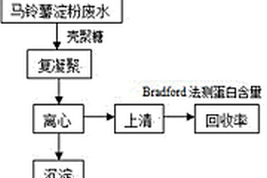 從馬鈴薯淀粉加工廢水中回收糖蛋白的方法