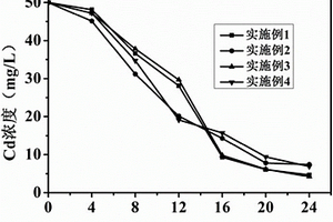 海綿鐵與微生物協(xié)同去除硫酸鹽和Cd(Ⅱ)廢水的方法