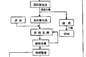 新的酒精(含燃料酒精)的工業(yè)生產(chǎn)技術(shù)