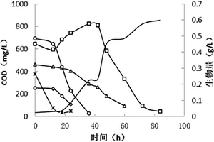 用產(chǎn)酸廢水異養(yǎng)培養(yǎng)小球藻的方法