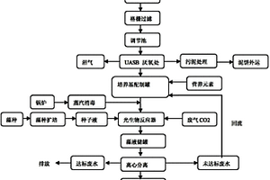 利用生物丁醇的工業(yè)廢水廢氣生產(chǎn)微藻的方法及其應用