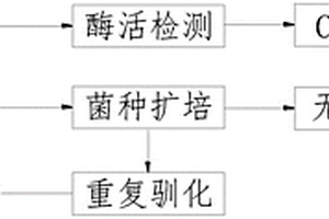 用于造紙制劑廢水處理的解淀粉芽孢桿菌及制備方法