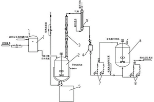 IPPD廢水處理系統(tǒng)及方法