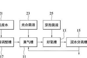 有機廢水及污泥處理系統(tǒng)