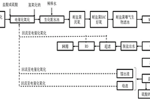 高鹽高有機物化工廢水的資源化處理系統(tǒng)及處理方法