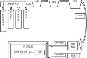 強(qiáng)化處理工業(yè)高含酚廢水的方法