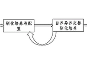 自養(yǎng)異養(yǎng)交替混合培養(yǎng)的苦鹽水微綠藻及其在苦咸工業(yè)廢水處理中的應用