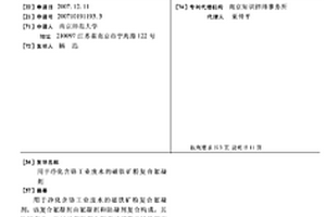 用于凈化含鉻工業(yè)廢水的磁鐵礦粉復(fù)合絮凝劑