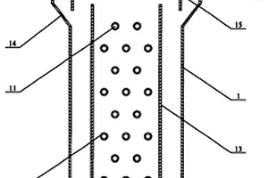 多光源三相循環(huán)流化床光化學(xué)反應(yīng)器和FE/無機載體催化劑的制備及其處理廢水的方法