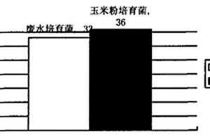 利用酒精廢水發(fā)酵生產(chǎn)印染廢水染料專屬生物脫色菌劑的方法