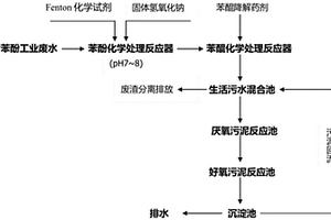 用于降解廢水中污染物苯醌的復(fù)合藥劑及降解處理廢水中污染物苯醌的方法