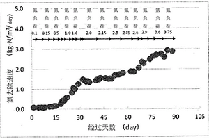 廢水處理用厭氧氨氧化菌群保持用載體、厭氧氨氧化菌群附著體和使用該附著體的廢水處理裝置