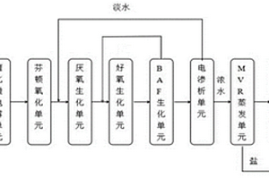 硫酸鈉廢水的處理裝置及資源化方法