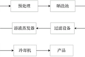 環(huán)氧丙烷或環(huán)氧氯丙烷生產(chǎn)過程中的含鹽廢水的處理方法及實(shí)現(xiàn)該方法的裝置