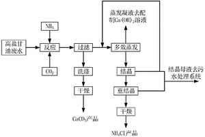 含鹽甘油廢水處理系統(tǒng)及工藝