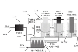 用于處理沼氣和廢水的系統(tǒng)與方法