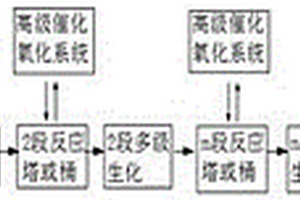 高級(jí)氧化和多級(jí)生化組合的廢水處理系統(tǒng)