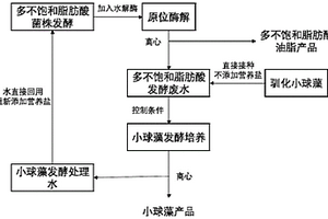 微生物發(fā)酵生產(chǎn)PUFA的廢水循環(huán)再利用的方法