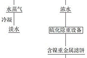 利用閃蒸汽處理鎳電解高鹽廢水的方法