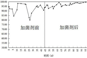 高效處理化工廢水的復合菌劑制備及應用方法