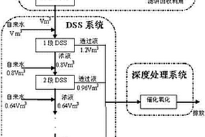 染料鹽析廢水的處理方法及處理系統