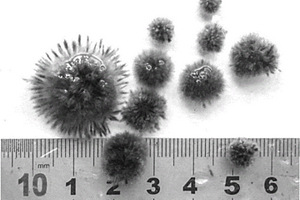 用于廢水處理的柔性生物球及其培養(yǎng)方法