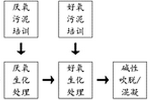 生物-物化聯(lián)用技術(shù)處理高鹽泡菜清洗廢水的方法