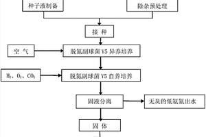 一株脫氮副球菌及用于高氨氮廢水處理產(chǎn)單細(xì)胞蛋白的方法