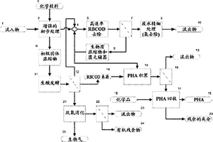 處理城市廢水和生產(chǎn)具有生物聚合物生產(chǎn)潛力的生物質(zhì)的方法