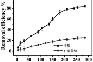 石墨烯量子點/四氧化三鐵復合物催化降解酚類廢水的方法