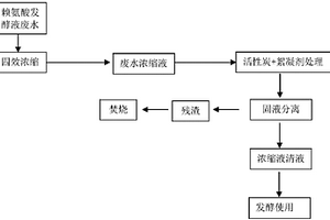 賴氨酸發(fā)酵液廢水濃縮液的處理方法和發(fā)酵生產(chǎn)賴氨酸的方法