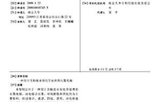 用于含酚廢水電化學(xué)處理的石墨電極